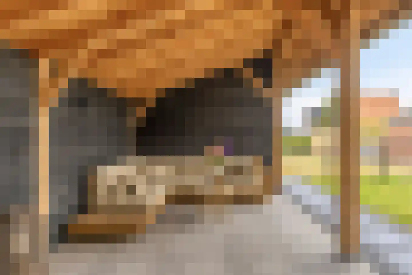 Noordstraat 11 Biervliet thumbnail 30