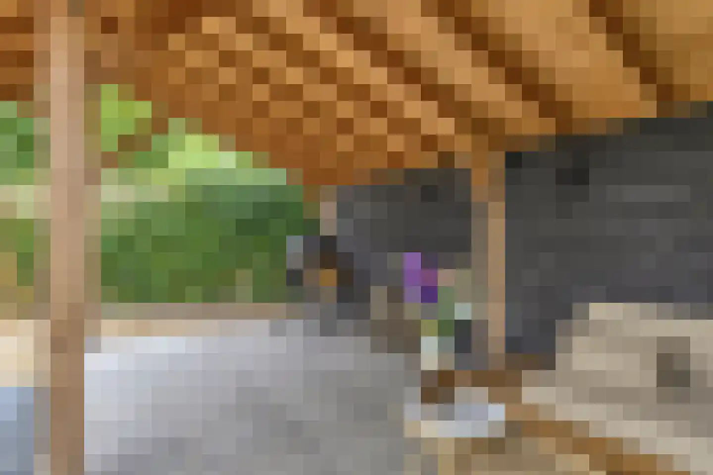 Noordstraat 11 Biervliet thumbnail 31