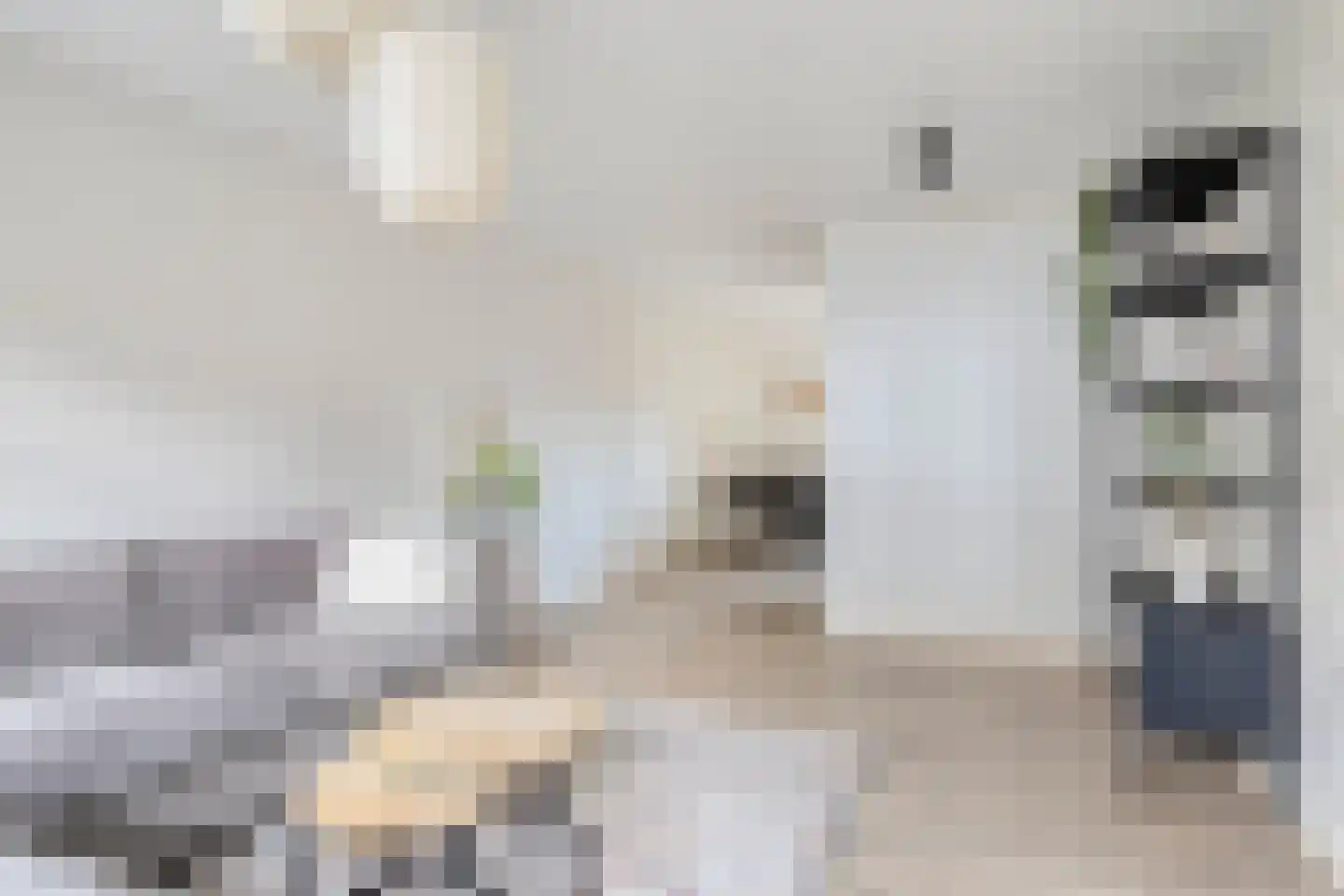Noordstraat 11 Biervliet thumbnail 6