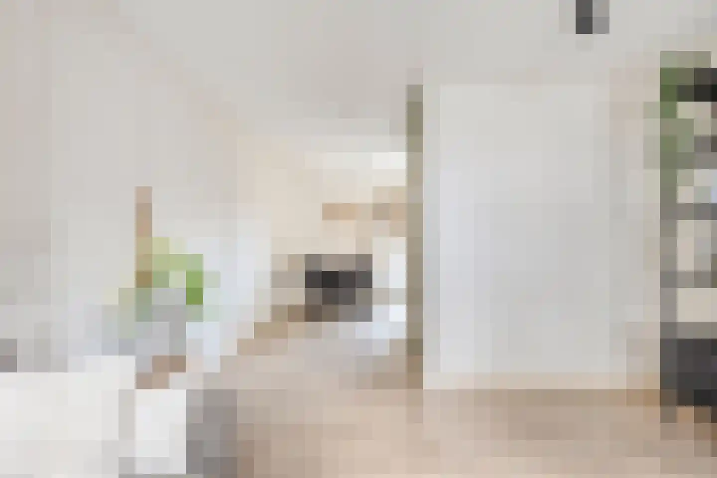 Noordstraat 11 Biervliet thumbnail 7
