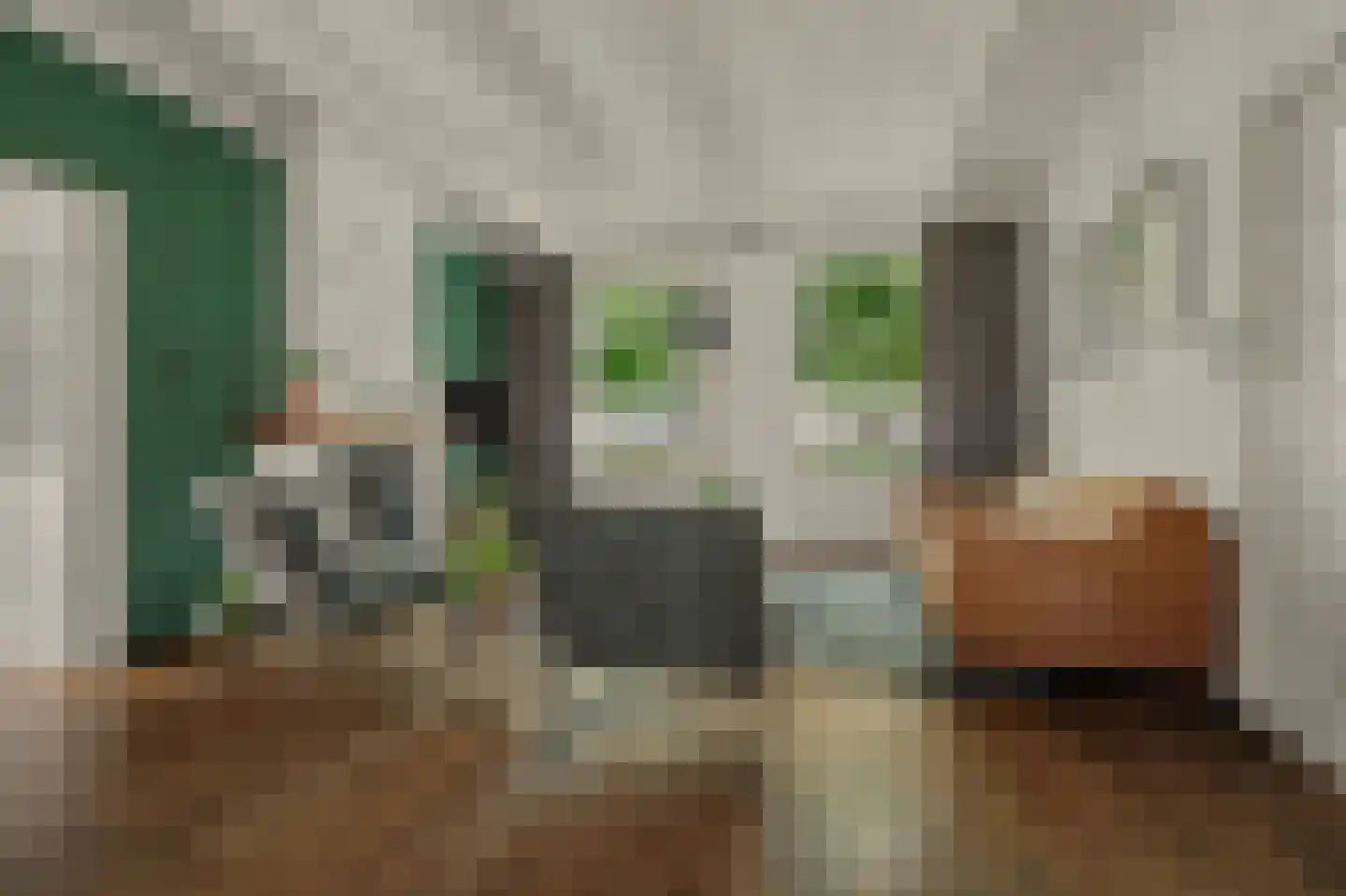 Noordstraat 11 Kapelle thumbnail 17