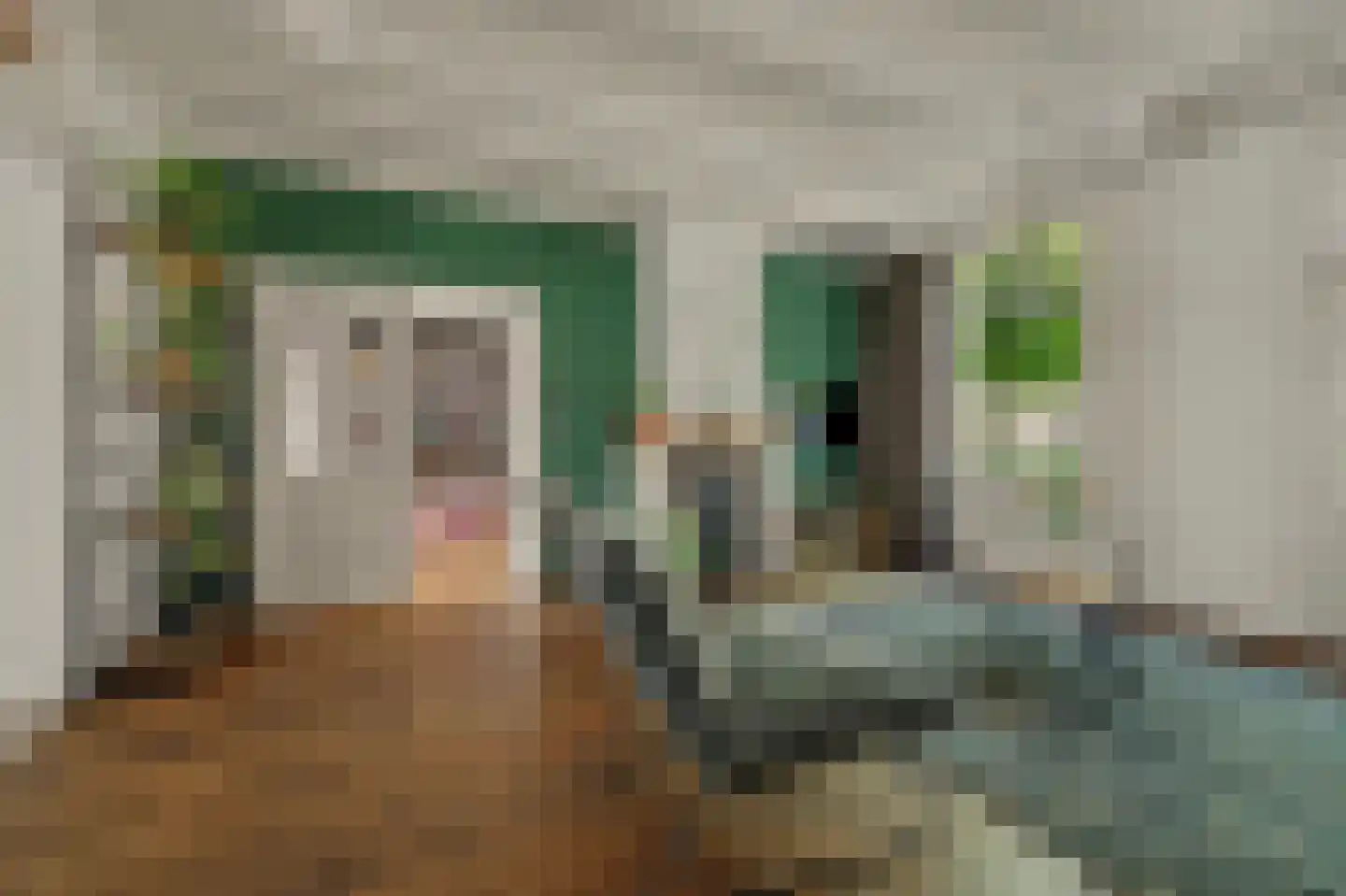 Noordstraat 11 Kapelle thumbnail 18