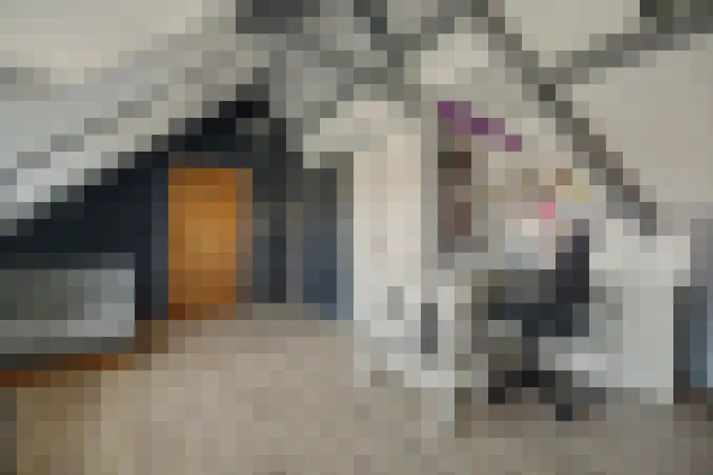 Noordstraat 11 Kapelle thumbnail 32