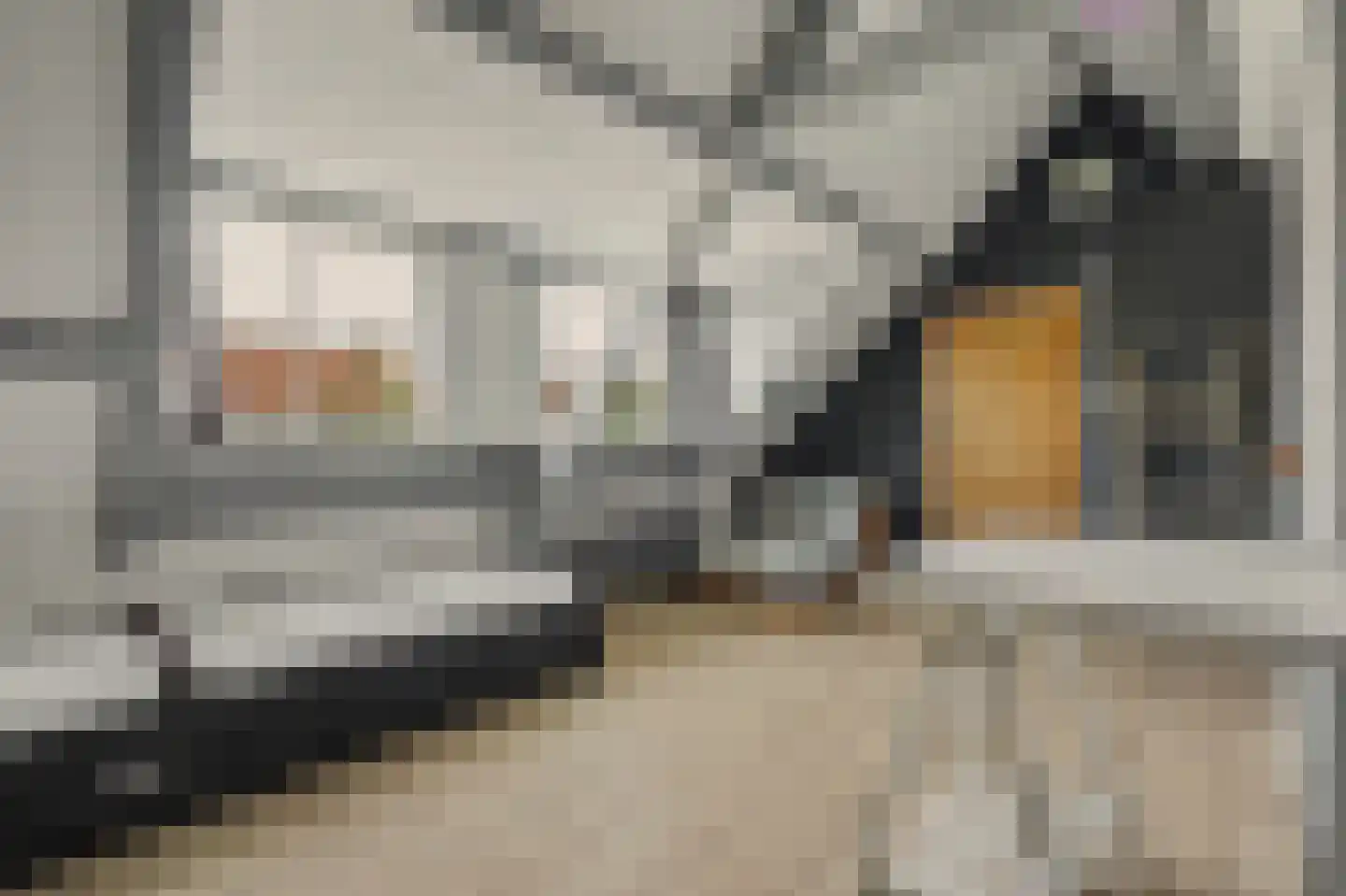 Noordstraat 11 Kapelle thumbnail 33