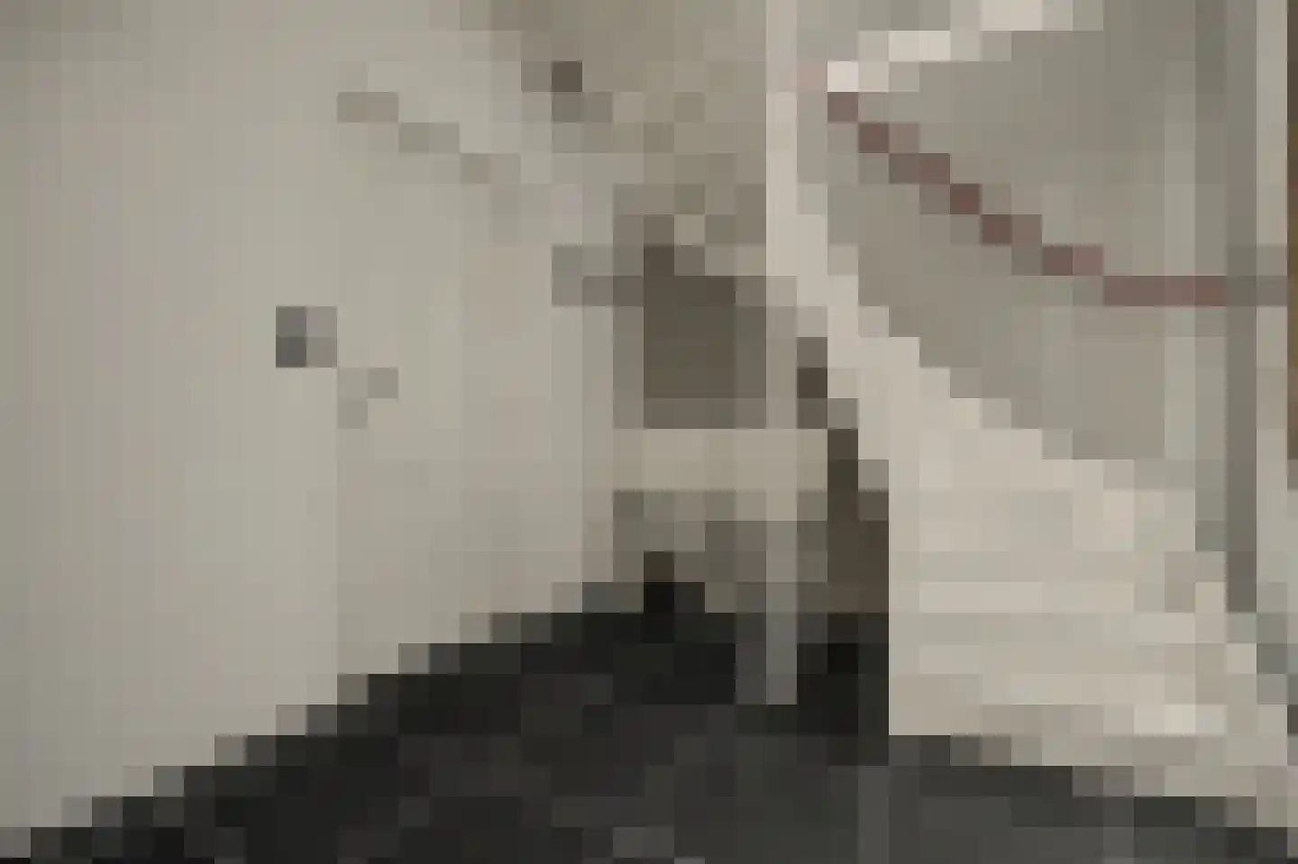 Noordstraat 11 Kapelle thumbnail 42