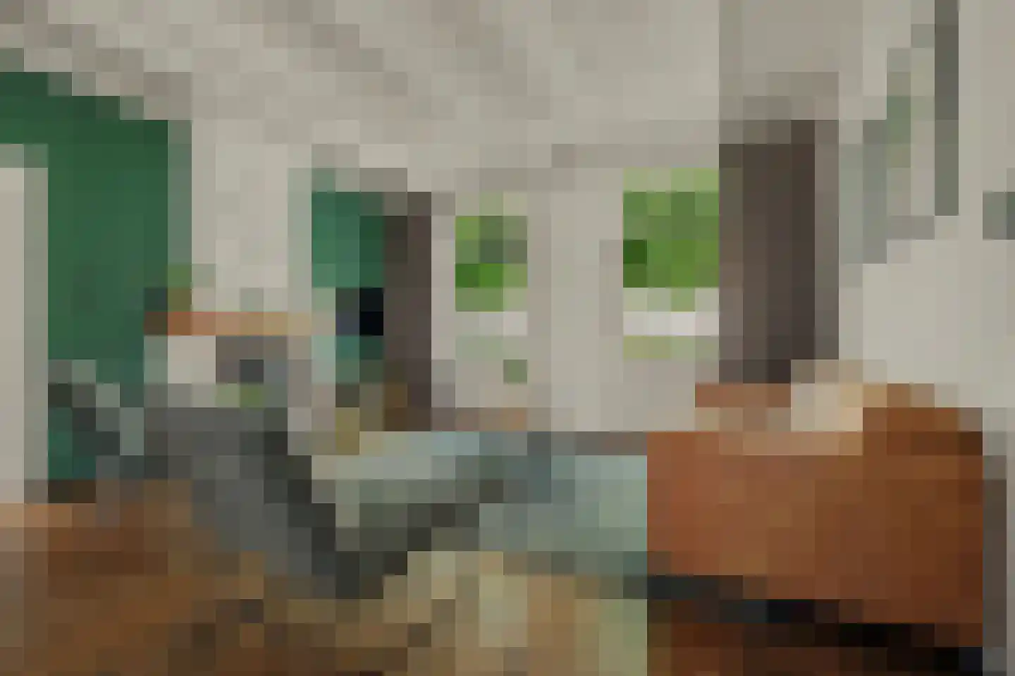 Noordstraat 11 Kapelle thumbnail 5