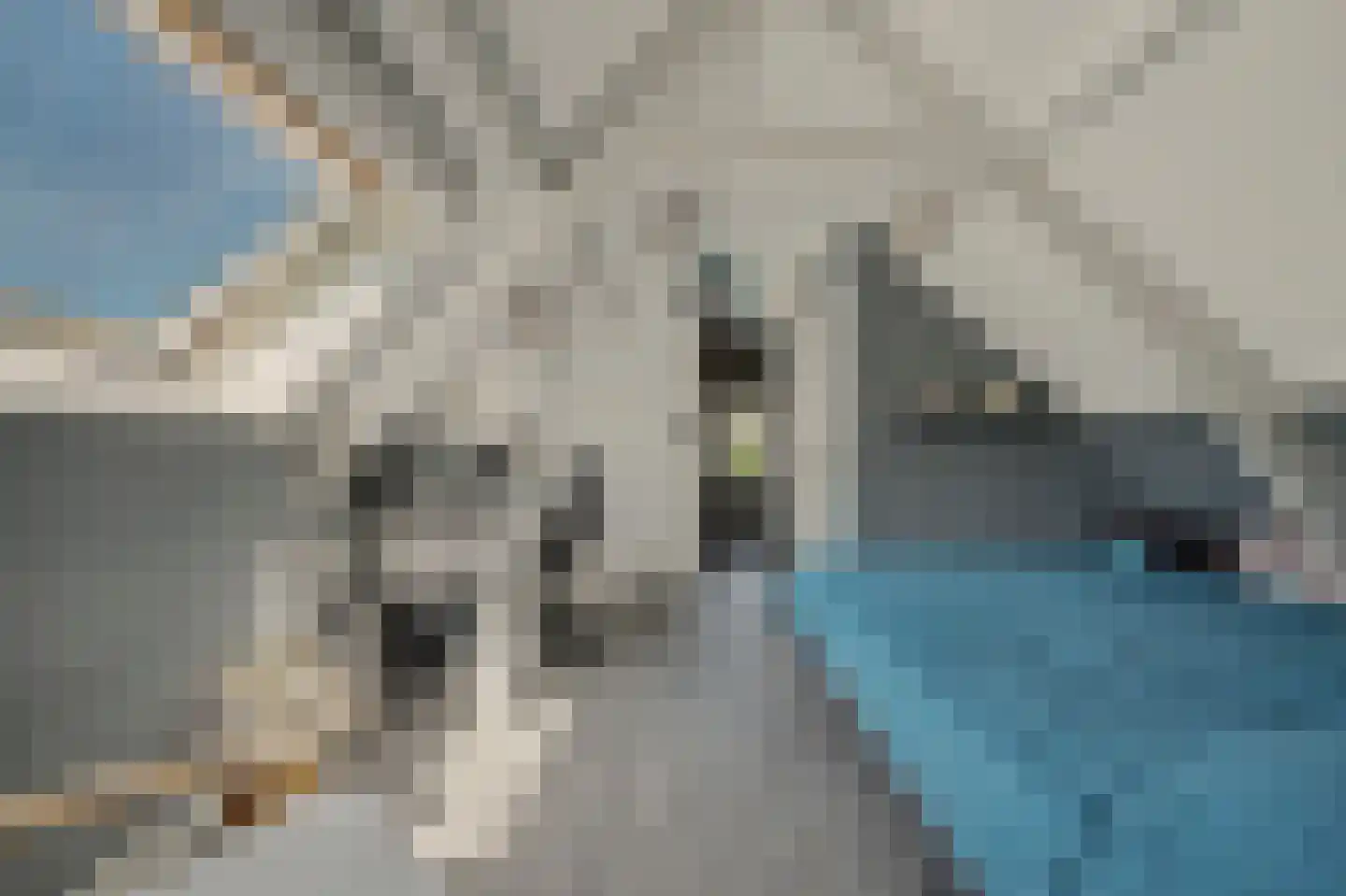 Noordstraat 11 Kapelle thumbnail 50
