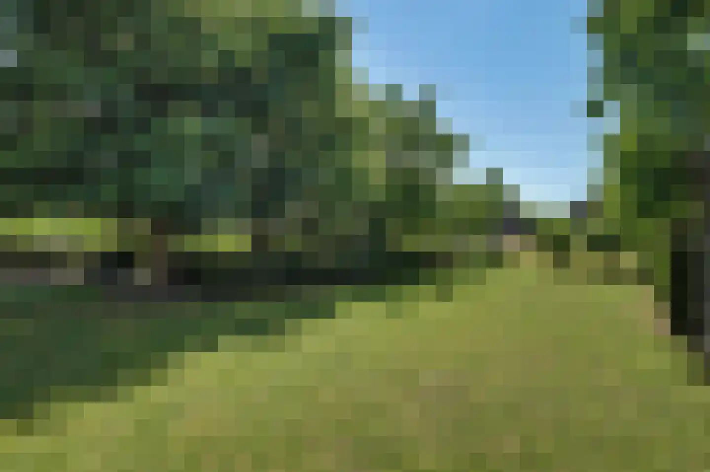 Noordstraat 11 Kapelle thumbnail 59