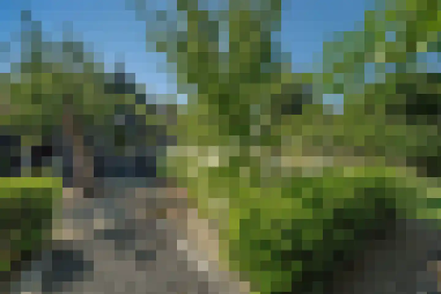 Noordstraat 11 Kapelle thumbnail 62