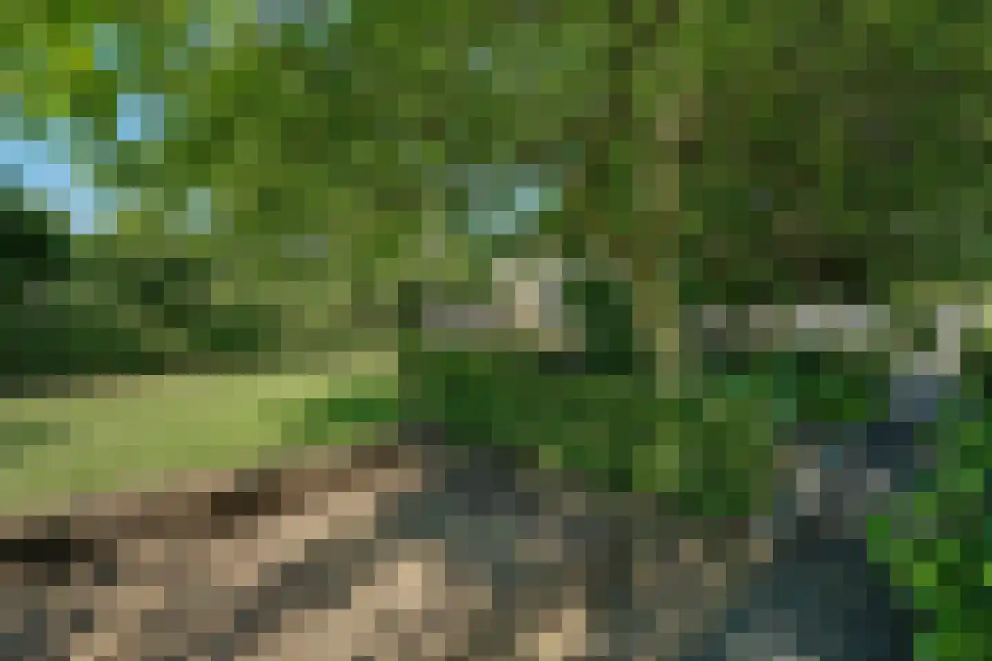 Noordstraat 11 Kapelle thumbnail 64