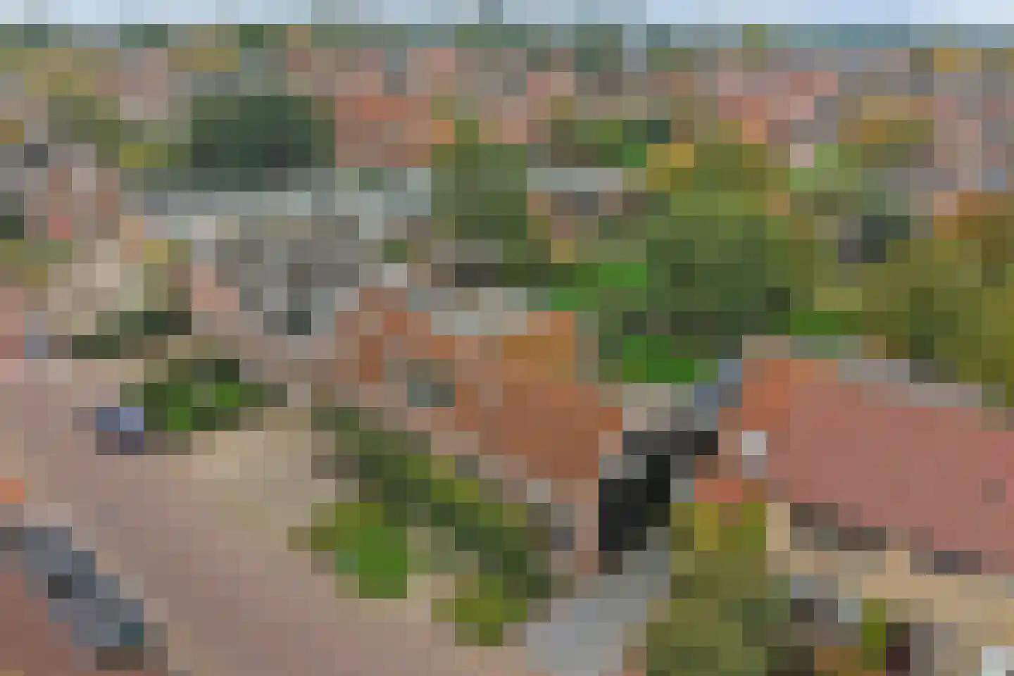 Noordstraat 11 Kapelle thumbnail 68
