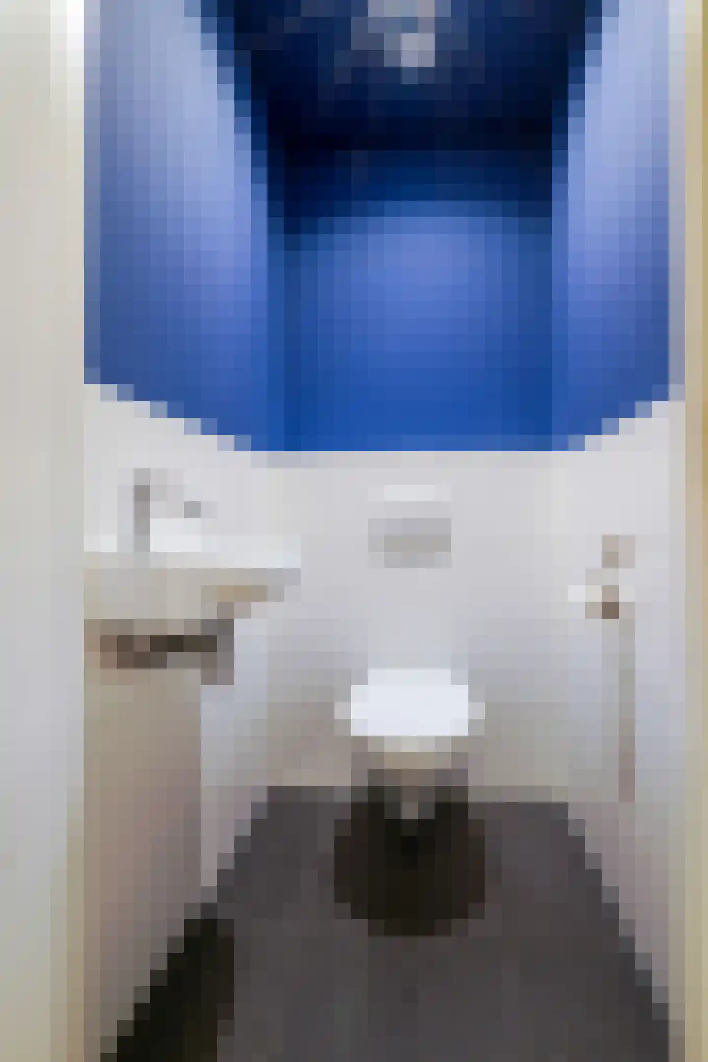 Noordstraat 111 a Tilburg thumbnail 15