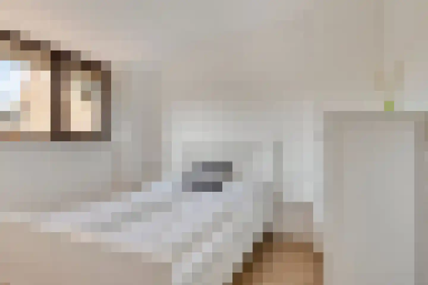 Noordstraat 12 Zoutelande thumbnail 21