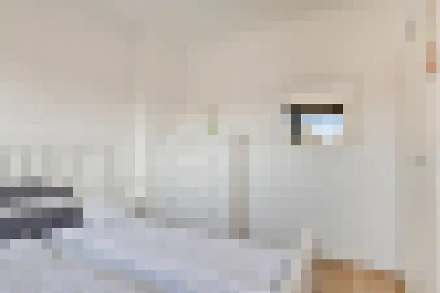 Noordstraat 12 Zoutelande thumbnail 22