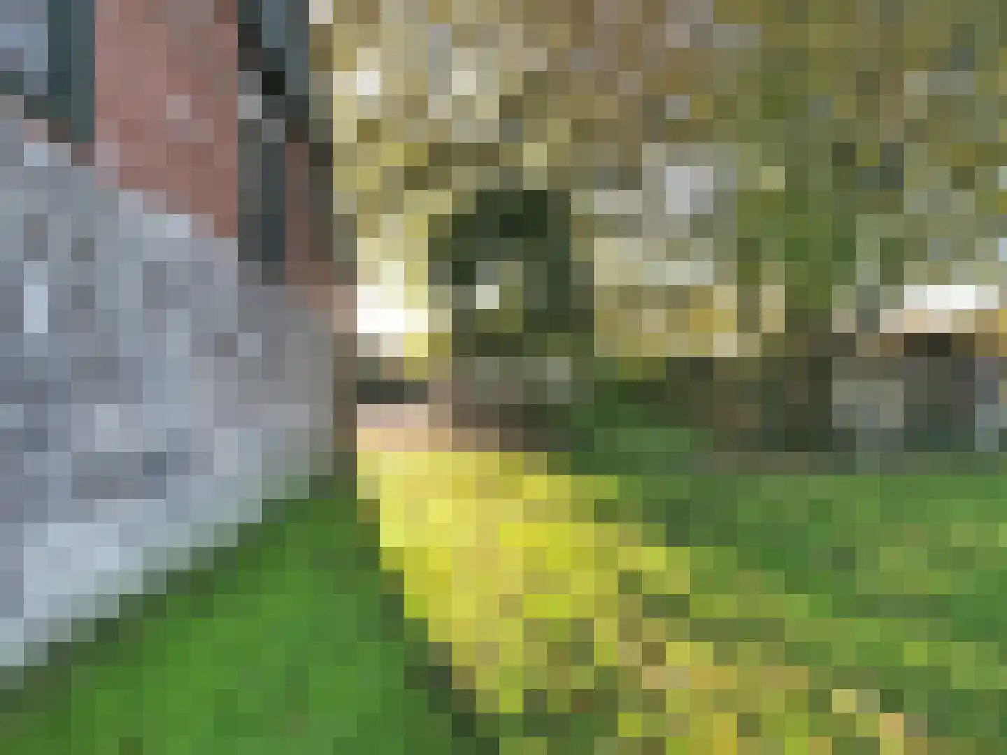 Noordstraat 14 Retranchement thumbnail 40