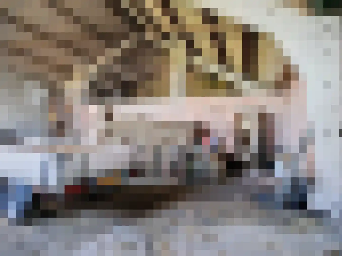 Noordstraat 14 Retranchement thumbnail 45