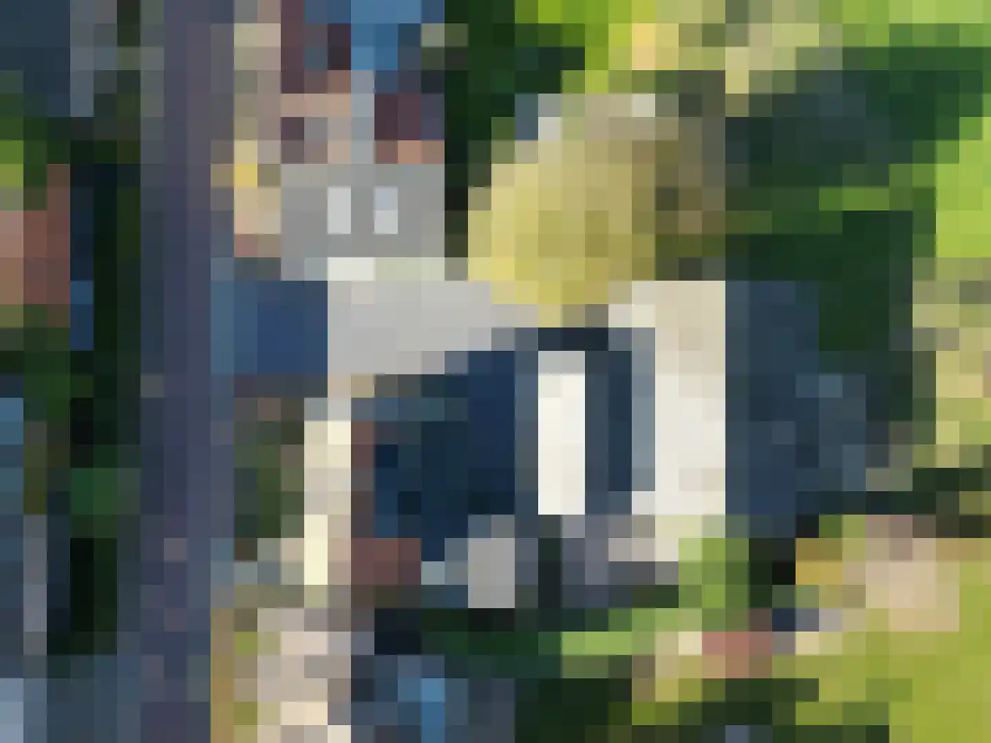 Noordstraat 14 Retranchement thumbnail 5