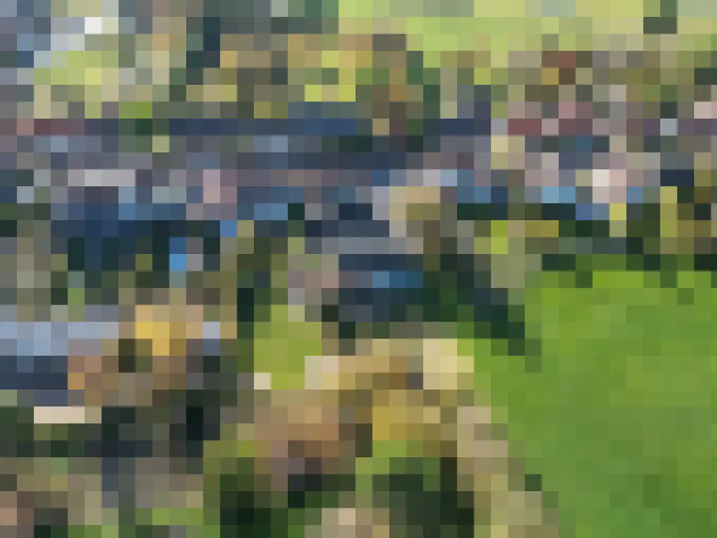 Noordstraat 14 Retranchement thumbnail 6