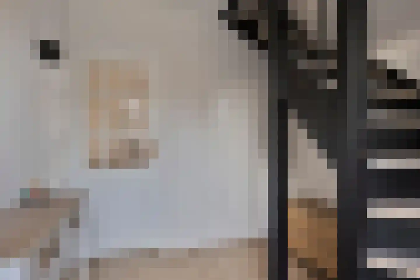 Noordstraat 14 Wanroij thumbnail 12