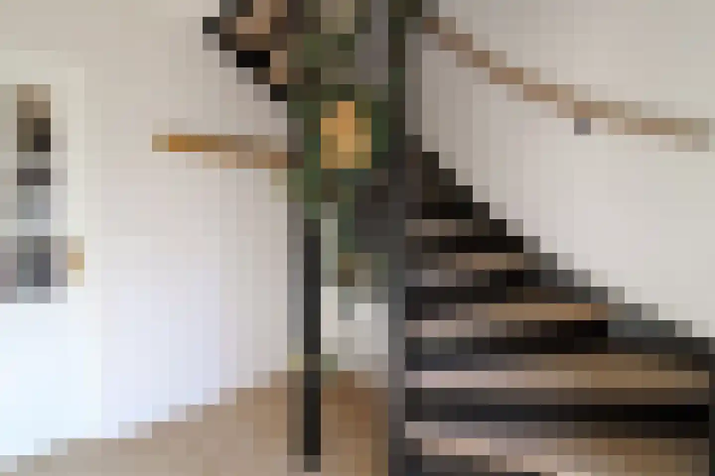 Noordstraat 14 Wanroij thumbnail 15