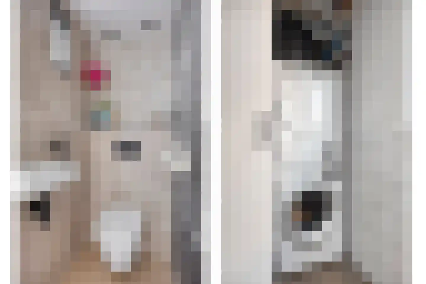 Noordstraat 14 Wanroij thumbnail 18
