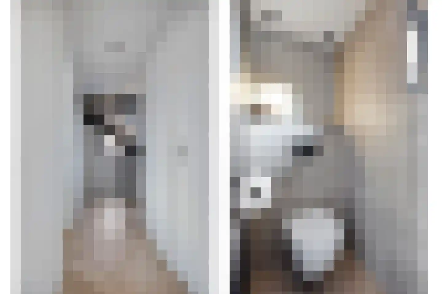 Noordstraat 14 Wanroij thumbnail 27