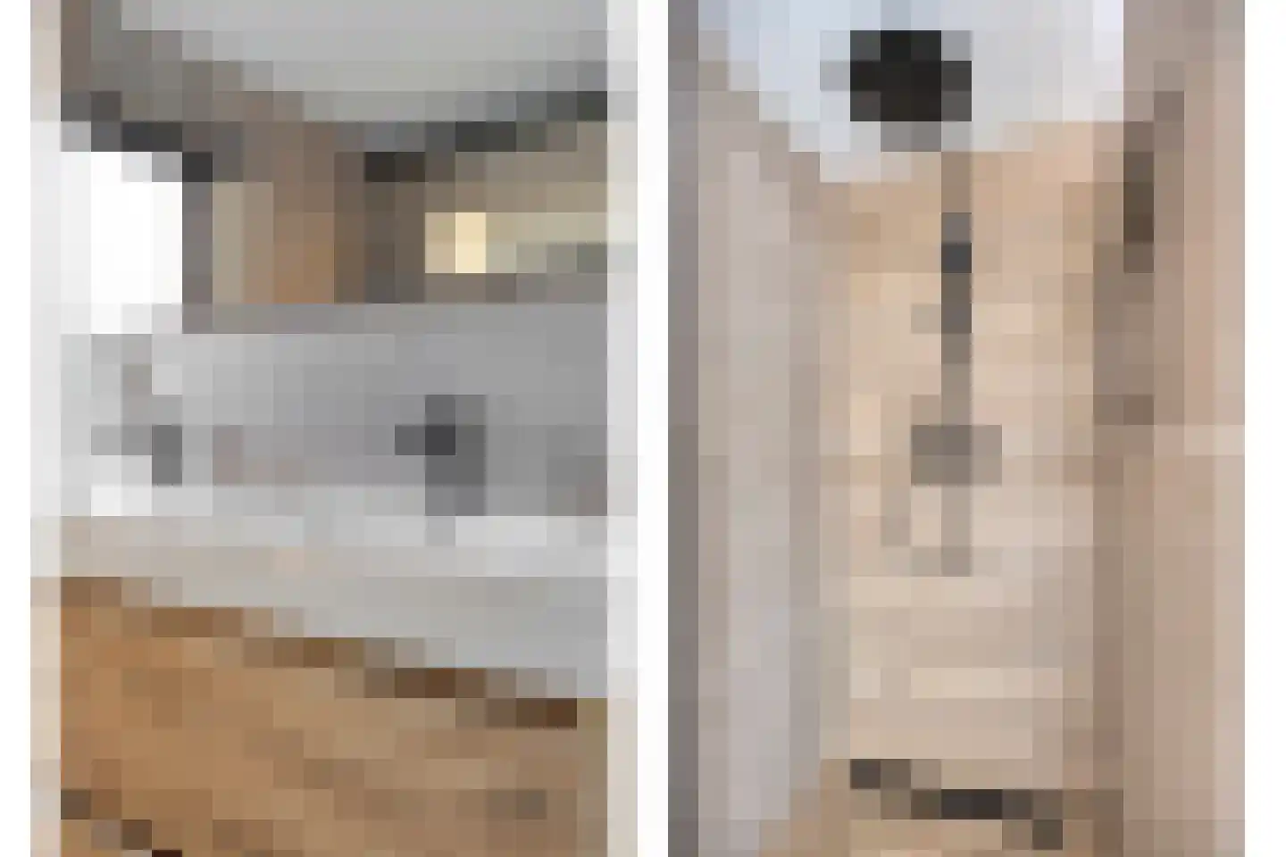 Noordstraat 14 Wanroij thumbnail 31