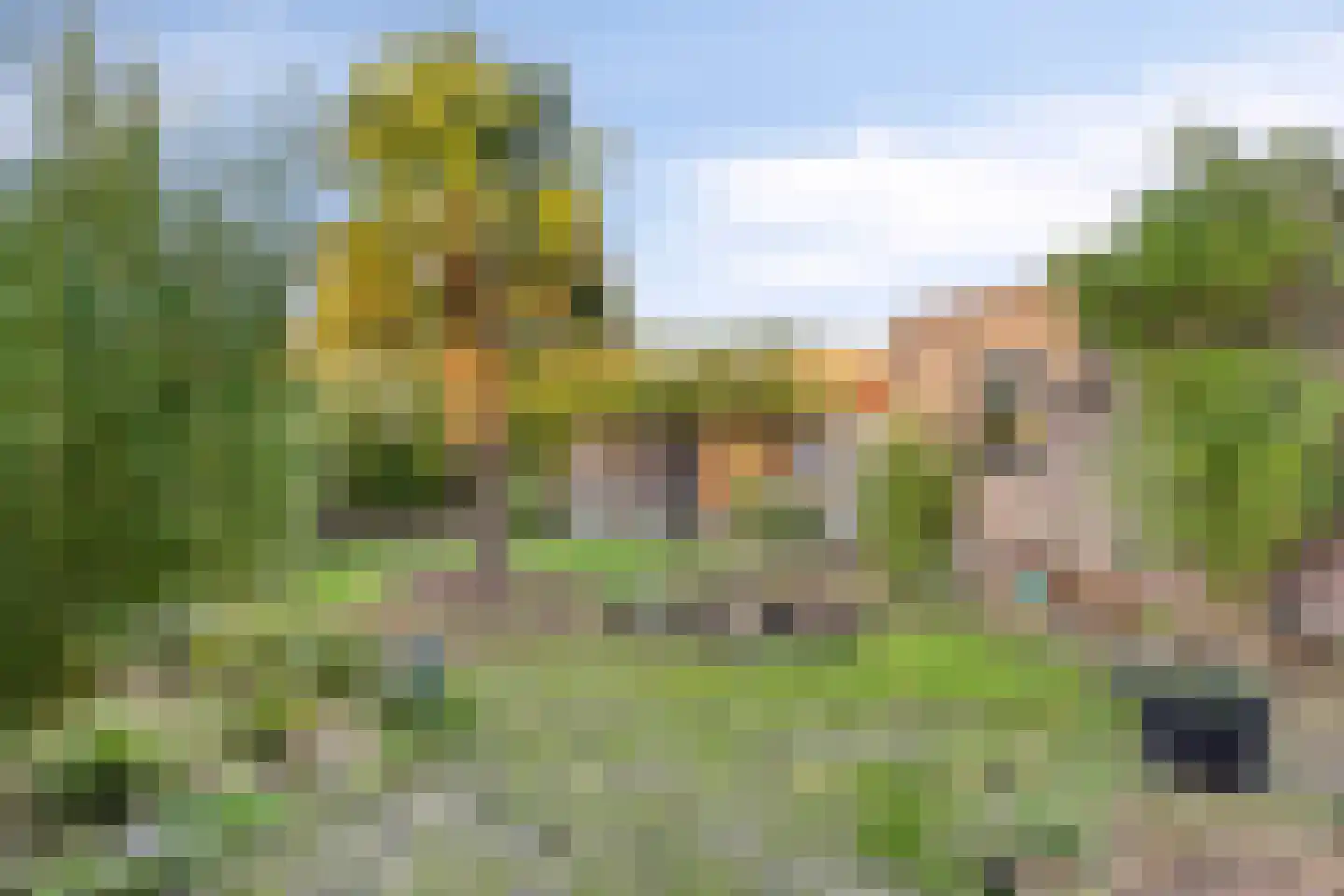 Noordstraat 14 Wanroij thumbnail 42