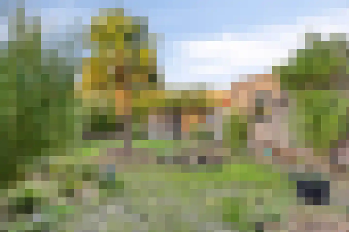 Noordstraat 14 Wanroij thumbnail 42