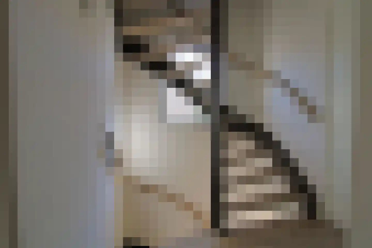 Noordstraat 14 Wanroij thumbnail 46
