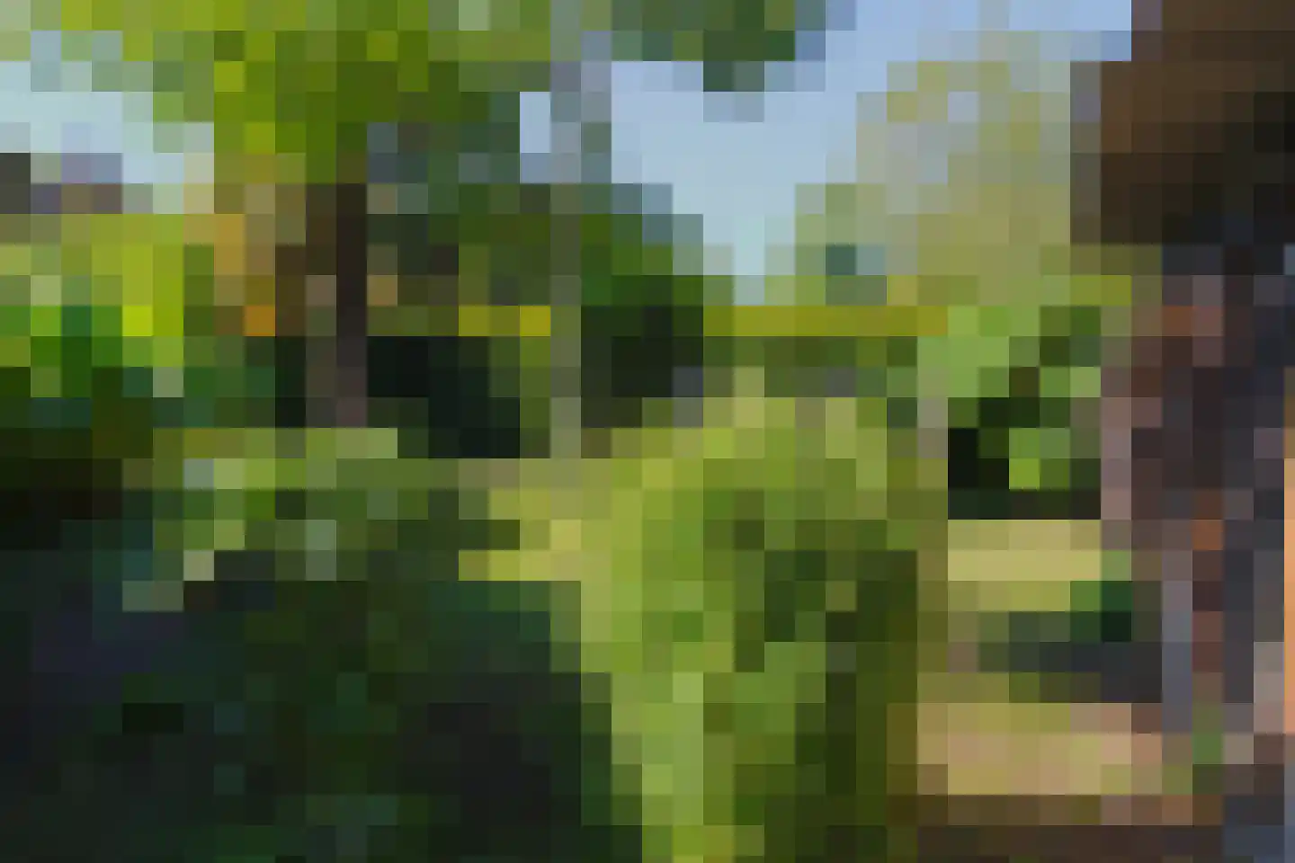 Noordstraat 14 Wanroij thumbnail 59