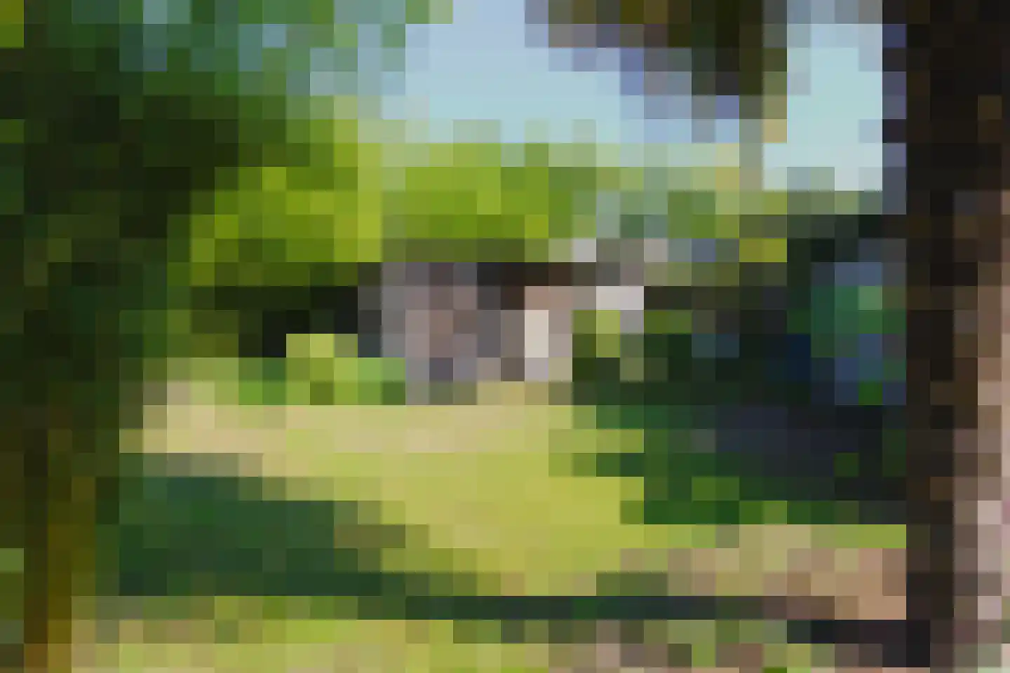 Noordstraat 14 Wanroij thumbnail 60