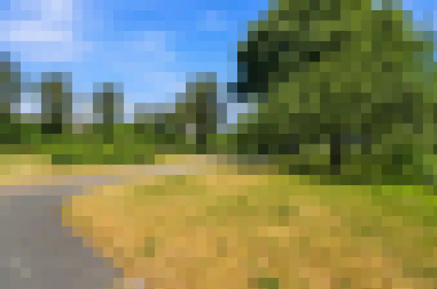 Noordstraat 15 c Ridderkerk thumbnail 52