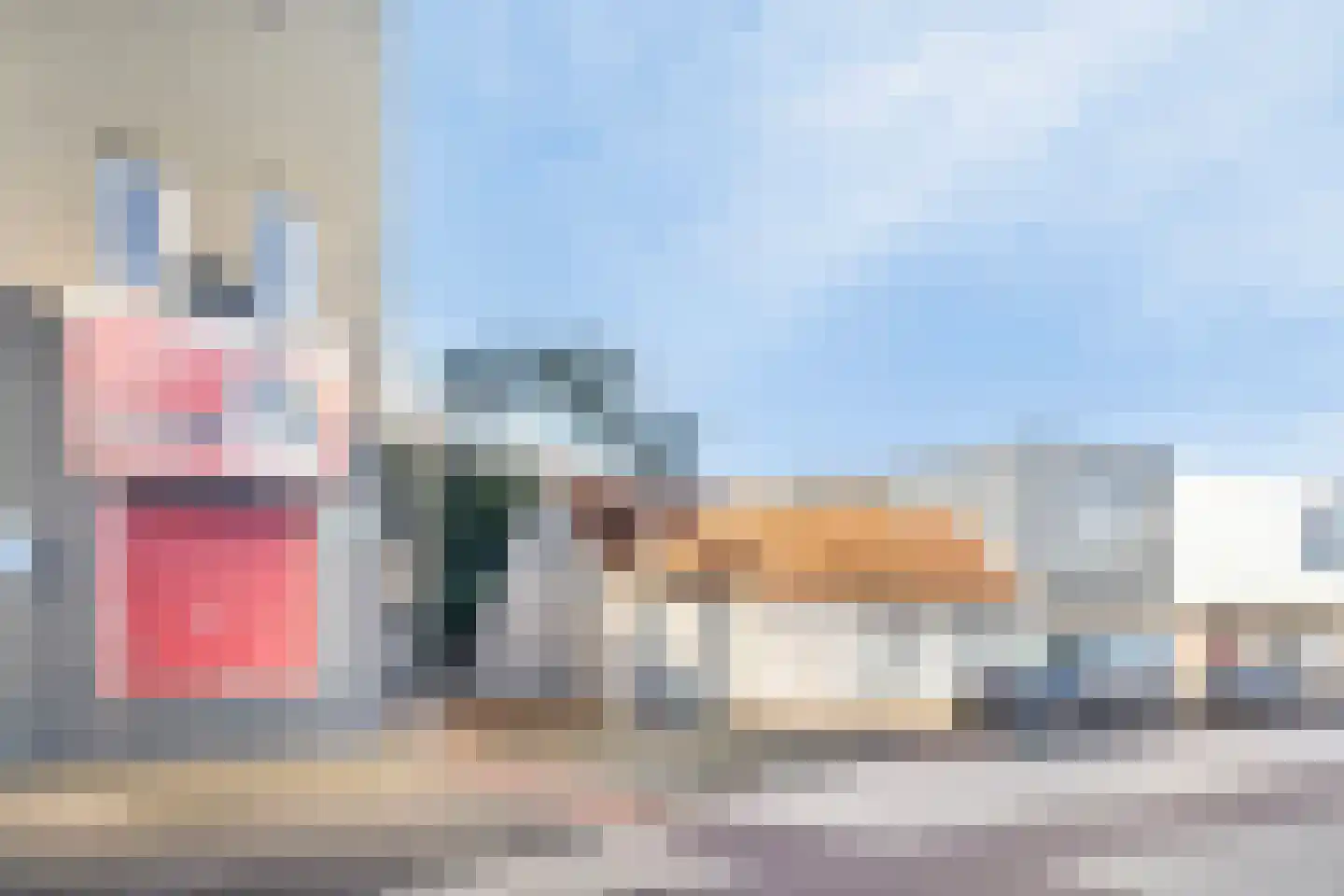 Noordstraat 16 Axel thumbnail 34