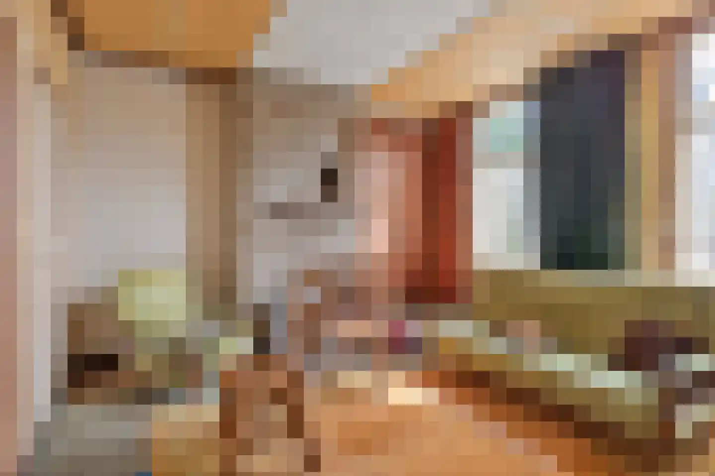 Noordstraat 16 Borssele thumbnail 13