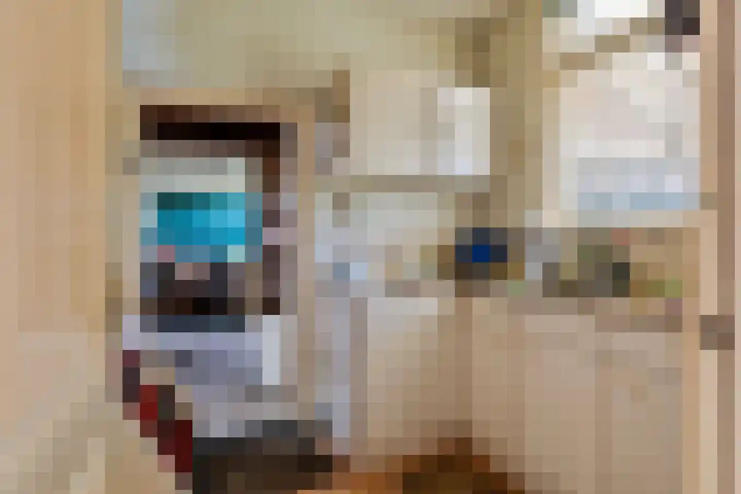 Noordstraat 16 Borssele thumbnail 19