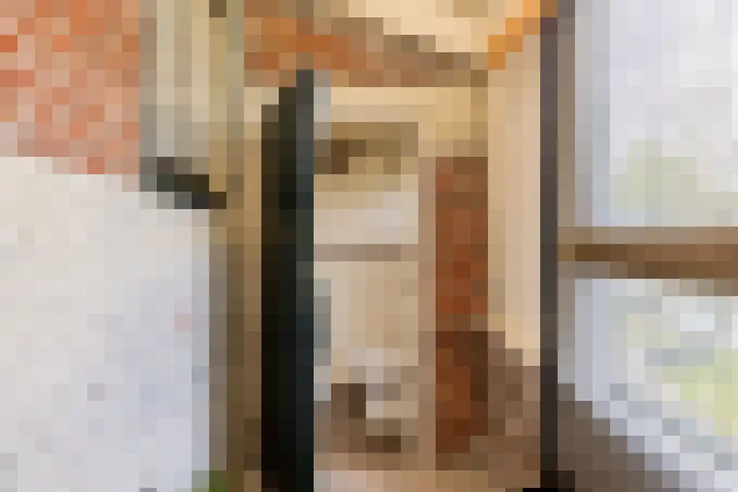 Noordstraat 16 Borssele thumbnail 22