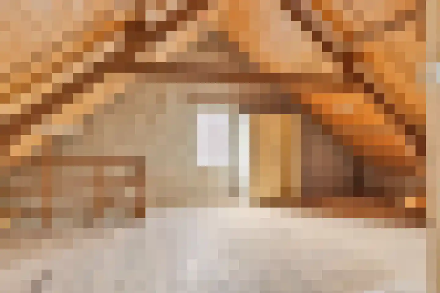Noordstraat 16 Borssele thumbnail 25