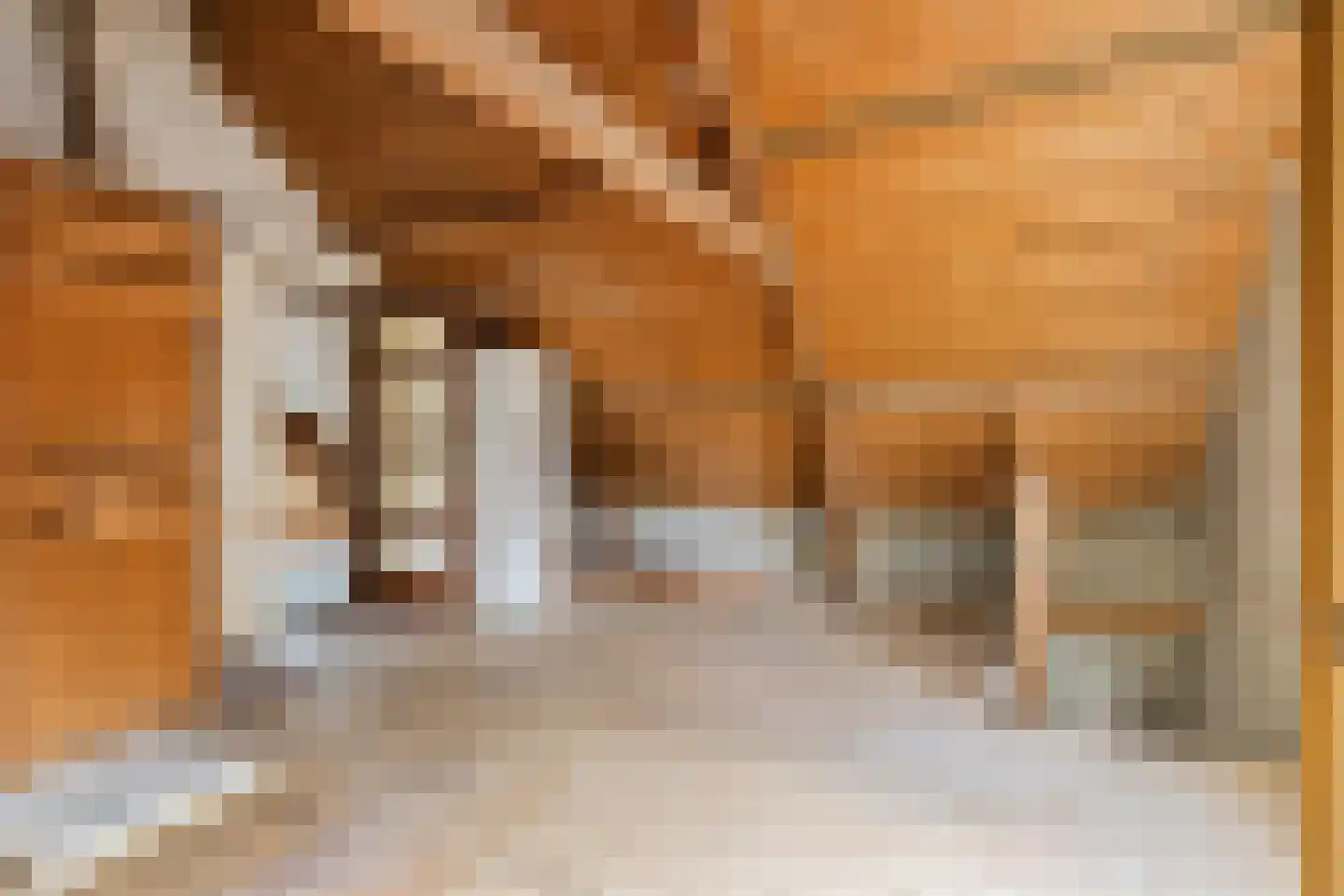 Noordstraat 16 Borssele thumbnail 27