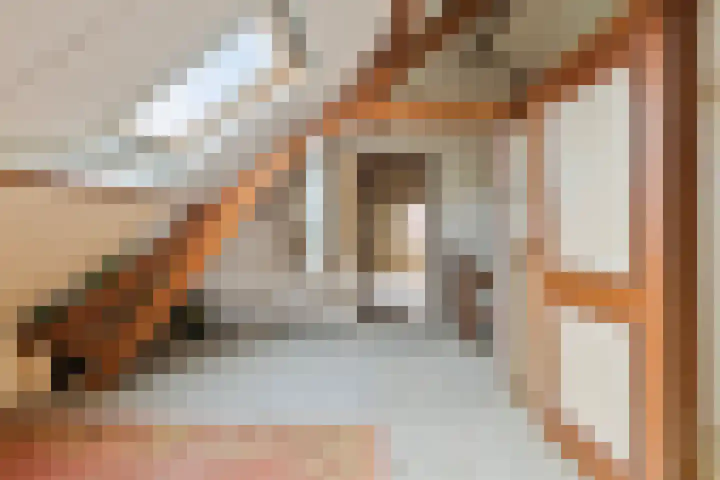 Noordstraat 16 Borssele thumbnail 30
