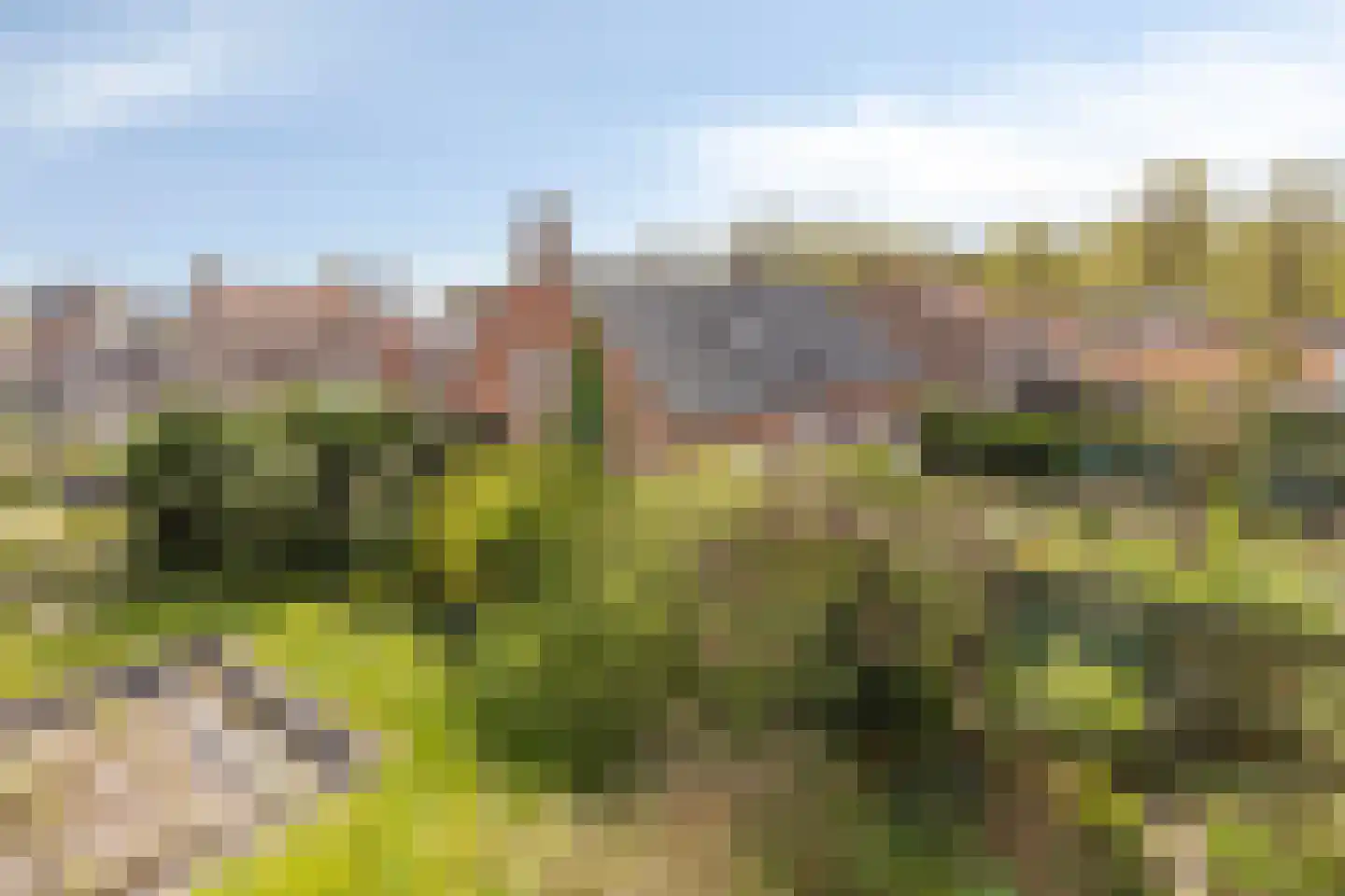 Noordstraat 16 Borssele thumbnail 38
