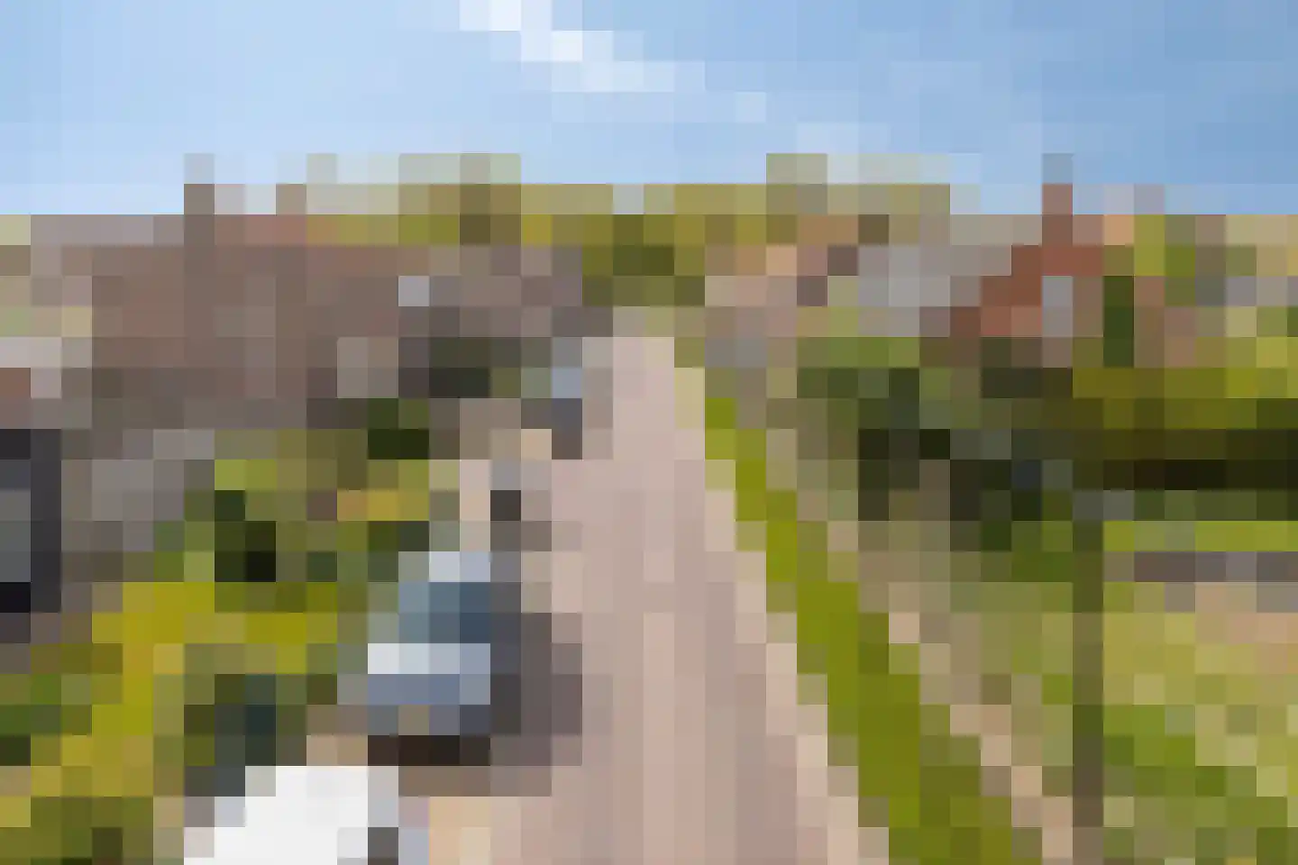 Noordstraat 16 Borssele thumbnail 4