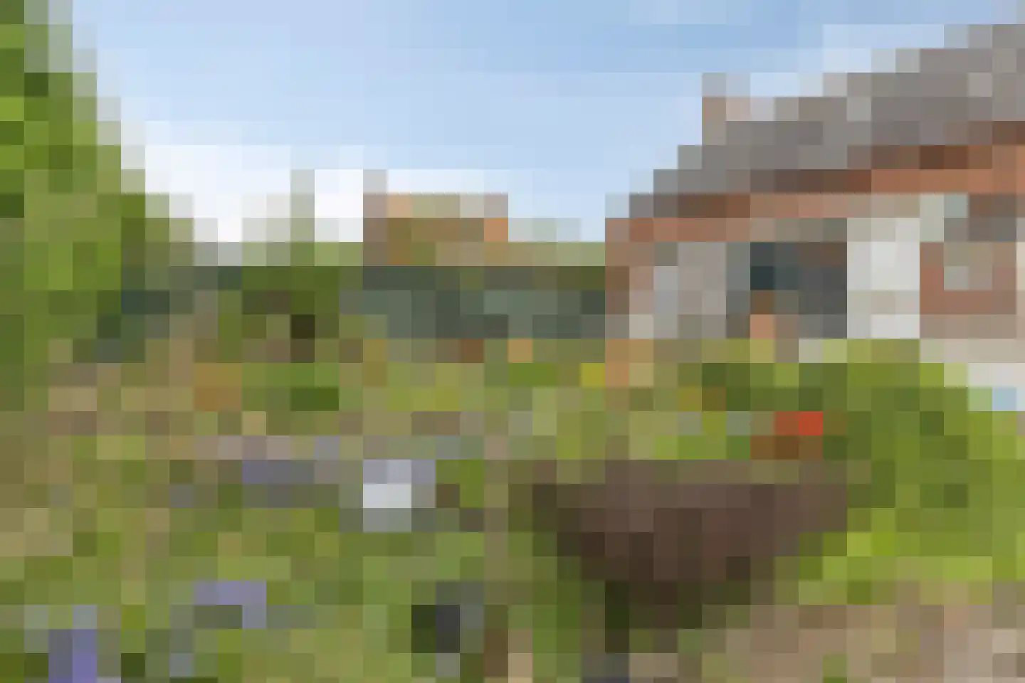 Noordstraat 16 Borssele thumbnail 40