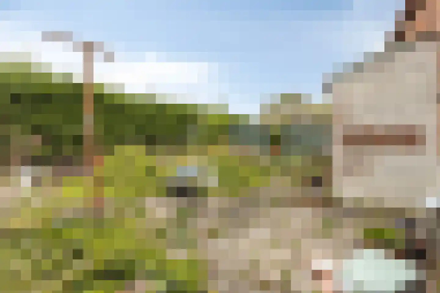 Noordstraat 16 Borssele thumbnail 41