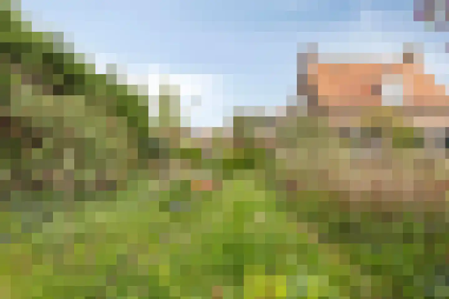 Noordstraat 16 Borssele thumbnail 44
