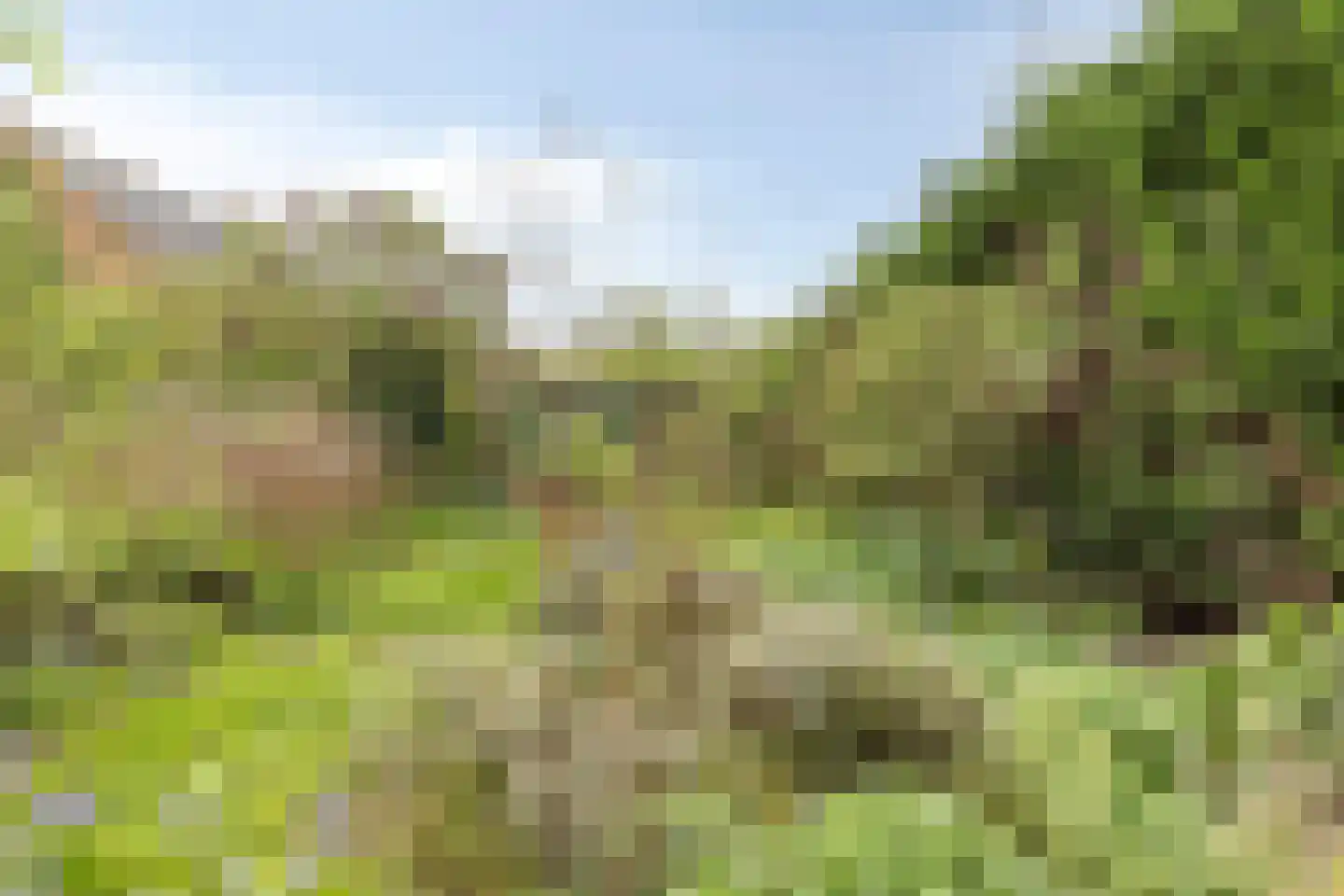 Noordstraat 16 Borssele thumbnail 45