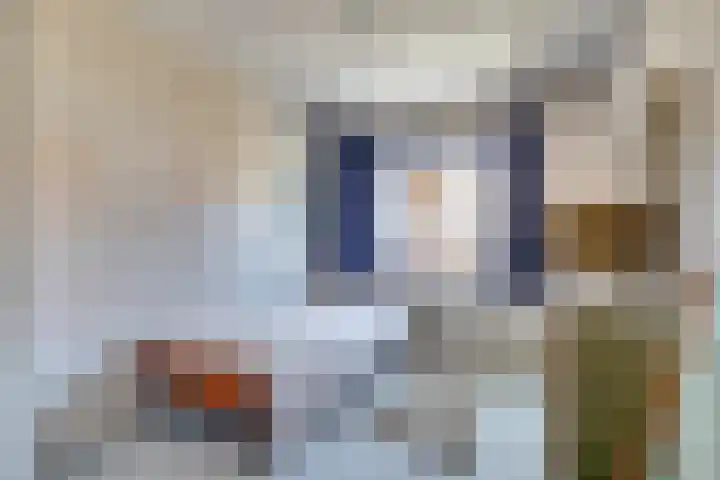Noordstraat 18 Arnemuiden thumbnail 18