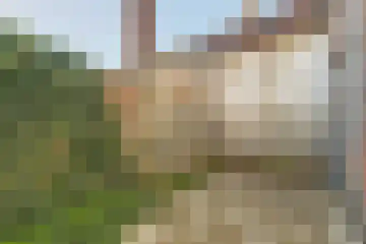 Noordstraat 18 Arnemuiden thumbnail 28