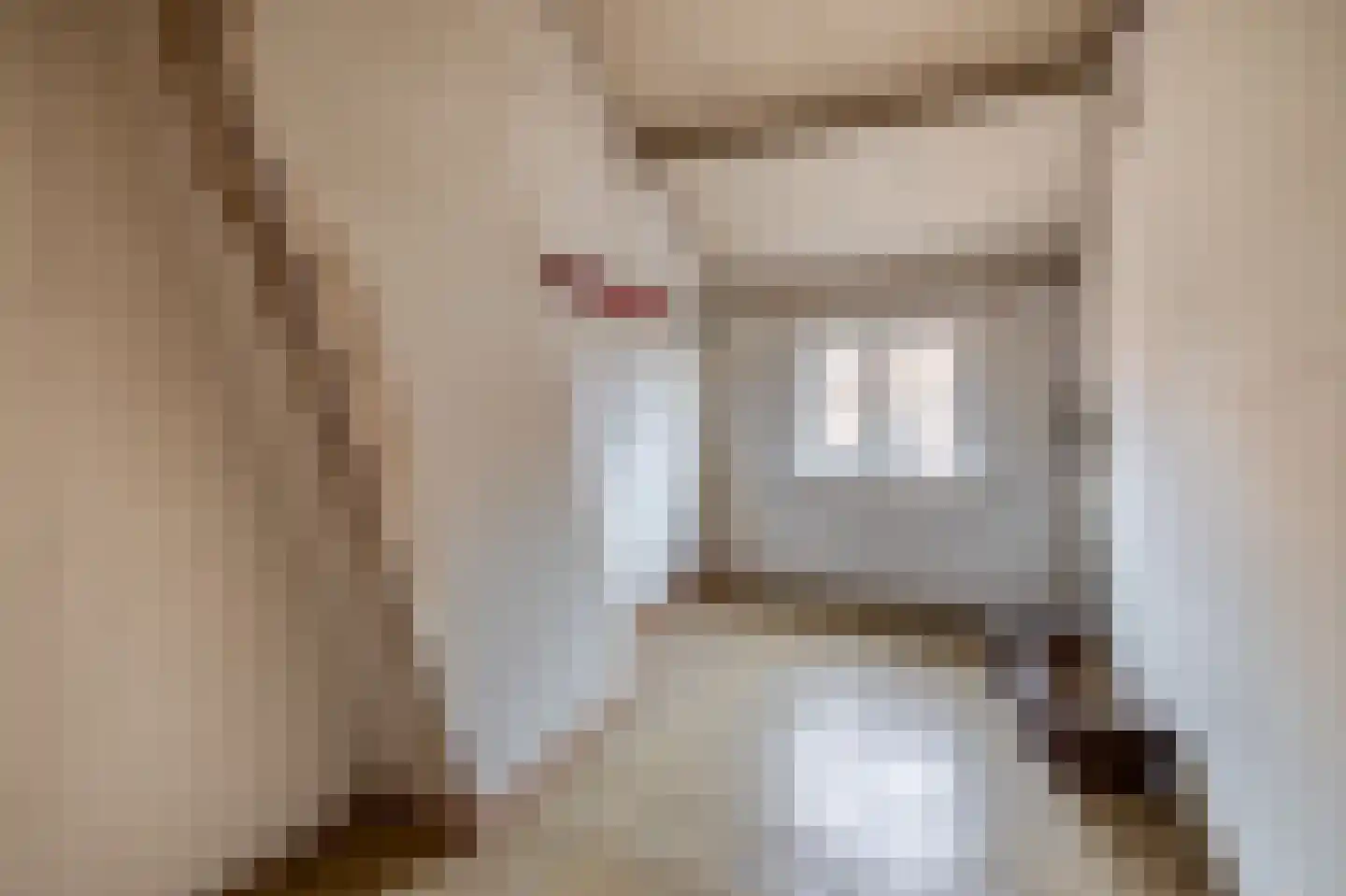 Noordstraat 18 Hoek thumbnail 21