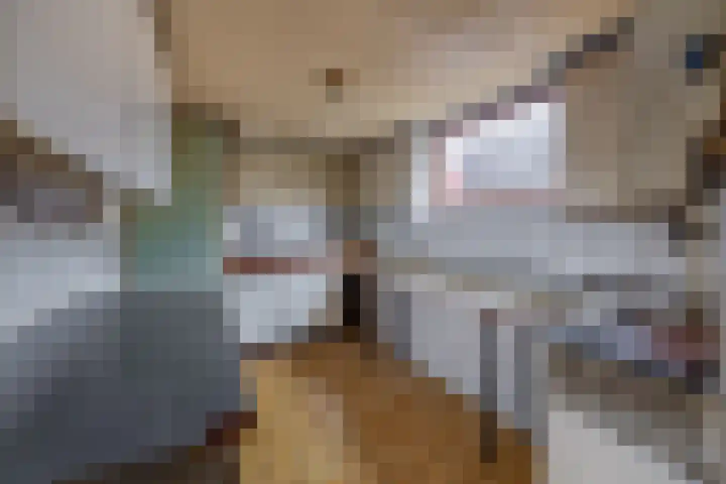 Noordstraat 18 Hoek thumbnail 8